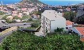 Ribeiro Real_montagens_maio 2025 (1)